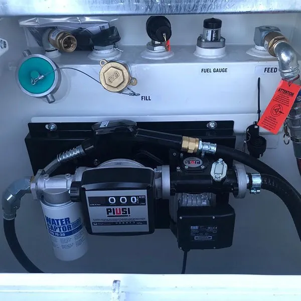 Piusi Wall Mounted Diesel Transfer Pump + Filter, view 3